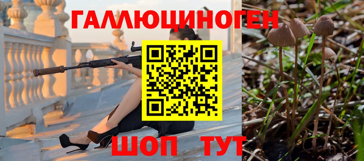 Галлюциногенные грибы Magic Shrooms  Псилоцибиновые грибы Psilocybe  Анжеро-Судженск  Вход с VPN 